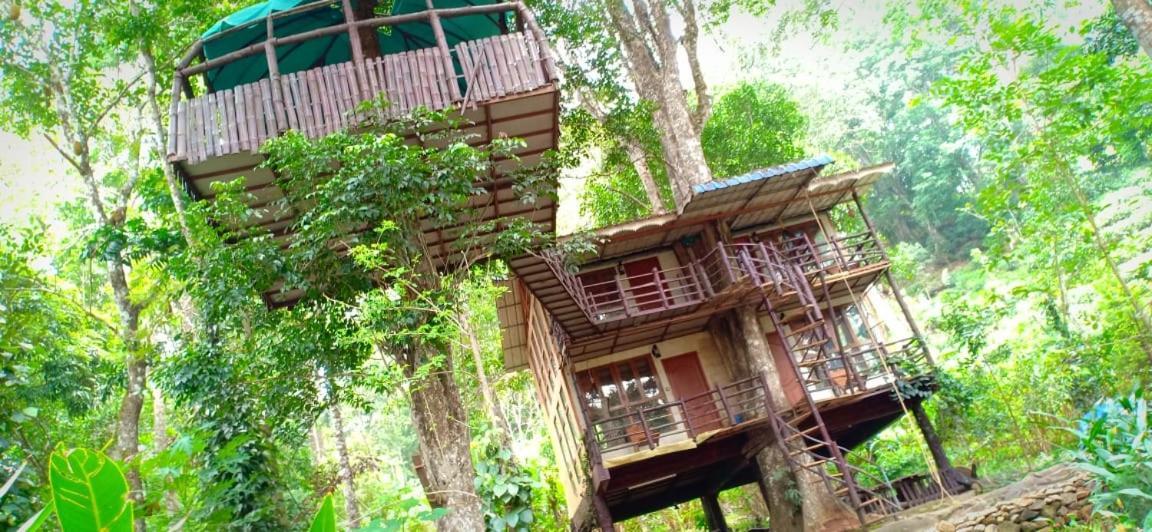 Jungle Jive Tree House Munnar Hotel Exterior photo